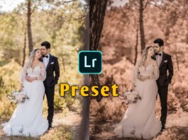 free lightroom presets wedding photography, portrait lightroom wedding presets, lightroom presets wedding, free lightroom presets wedding lr