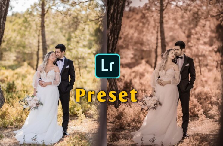 free lightroom presets wedding photography, portrait lightroom wedding presets, lightroom presets wedding, free lightroom presets wedding lr